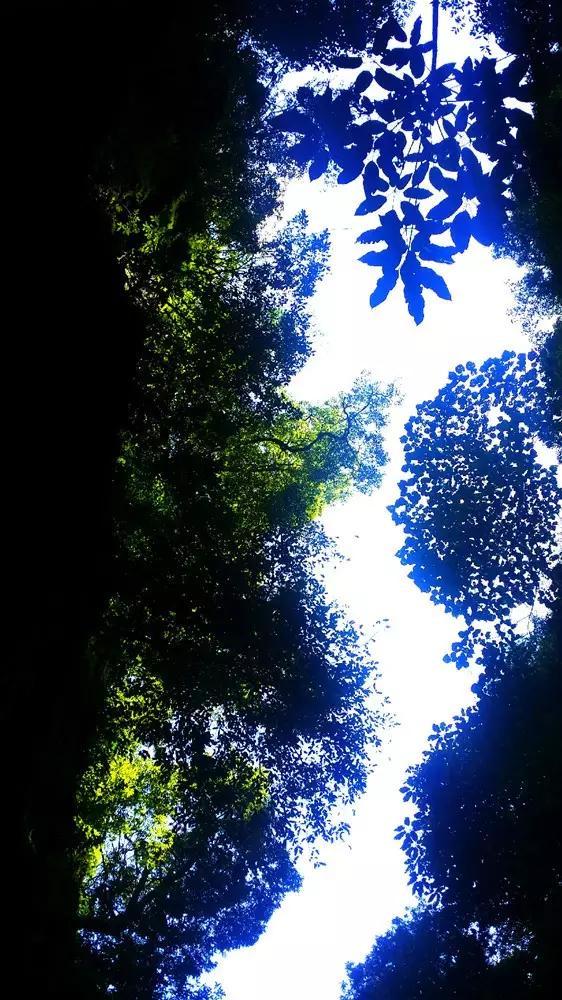 记者：史密斯-罗预计会继续留在枪手，除非有类似奇迹的事情发生