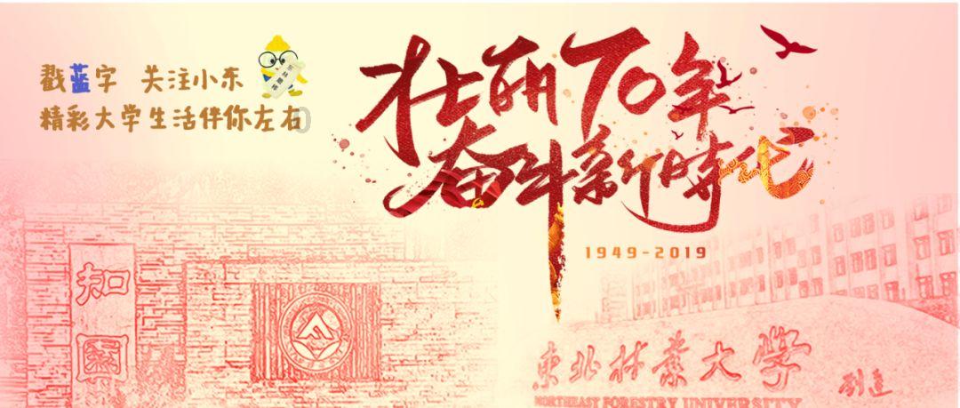 除夕夜零点跨年将放飞龙头风筝！潍坊春节群众文化活动亮点纷呈