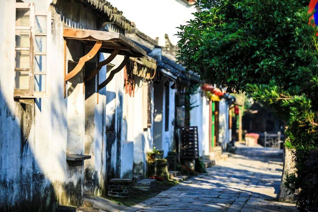 饺子的汤汁怎么调游戏画面